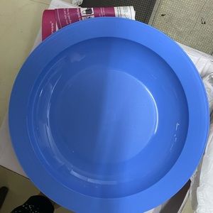 Original Tupperware dinner plates